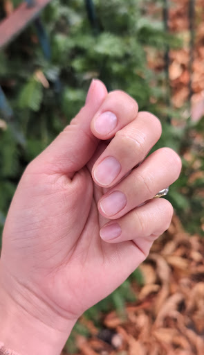 Photo from customer review